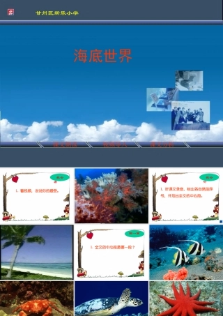 海底世界-(2)