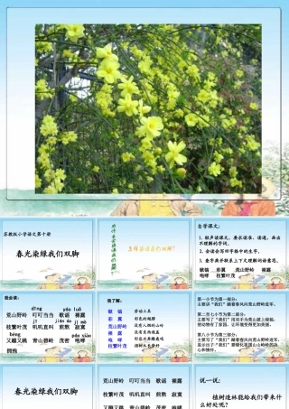 1春光染绿我们双脚