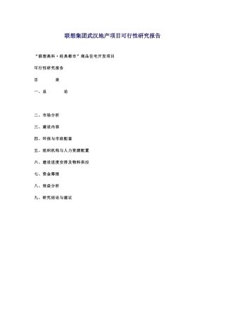 联想集团武汉地产项目可行性研究项目