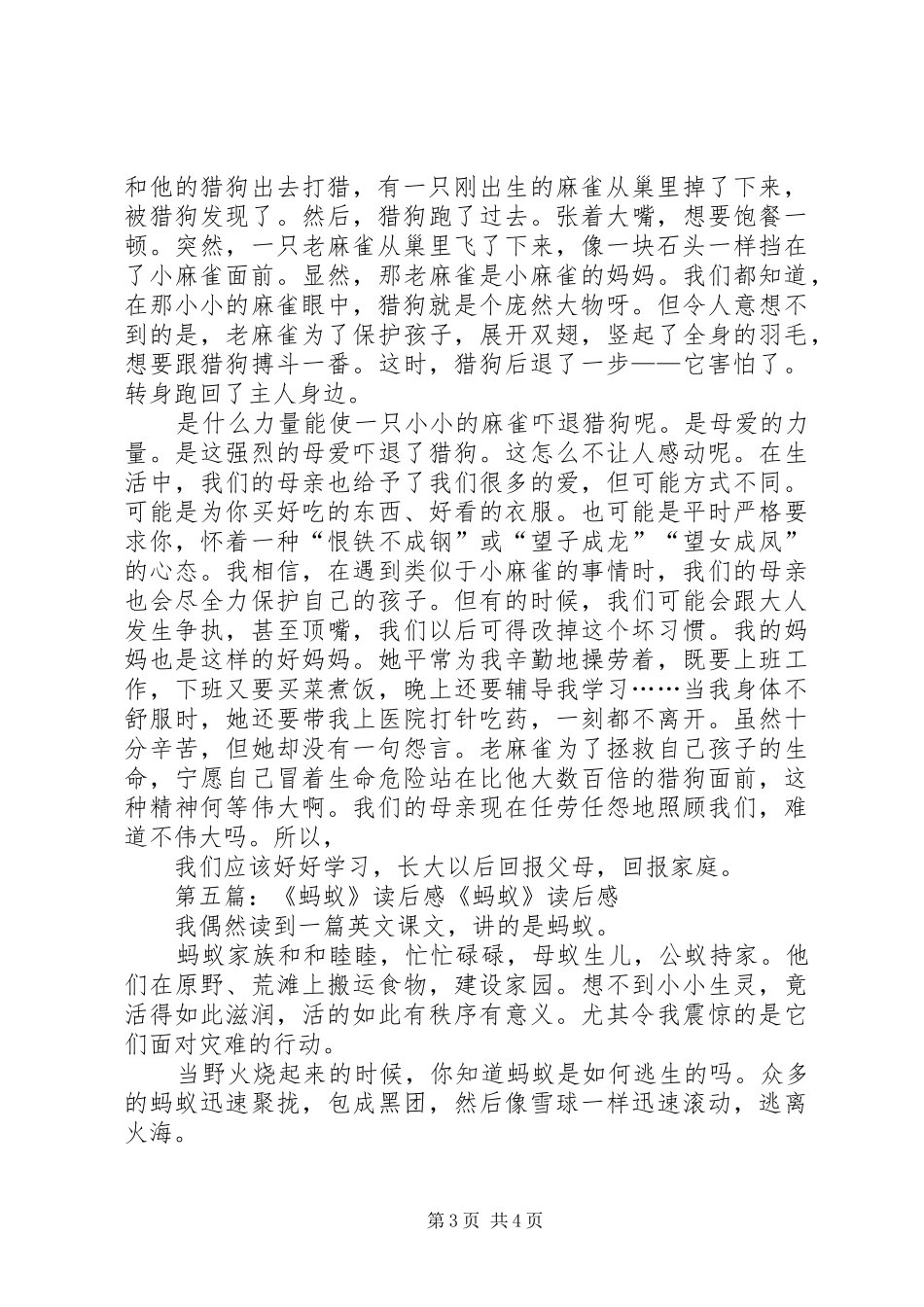 《蚂蚁和麻雀》的读后感(精选多篇)_第3页