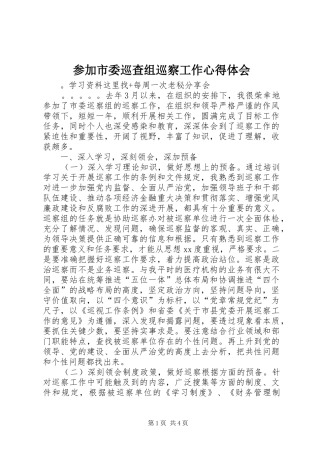 参加市委巡查组巡察工作心得体会