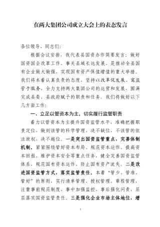 在两大国企集团公司成立大会上的表态发言