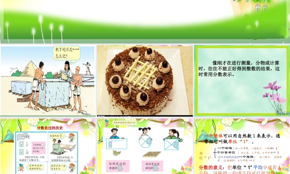 分数的产生和意义-(2)