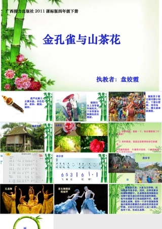 (演唱)金孔雀与山茶花