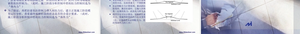 MIDAS索单元应用(悬索桥、斜拉桥分析)
