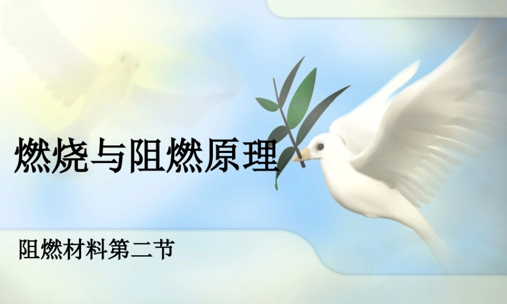 2燃烧与阻燃原理