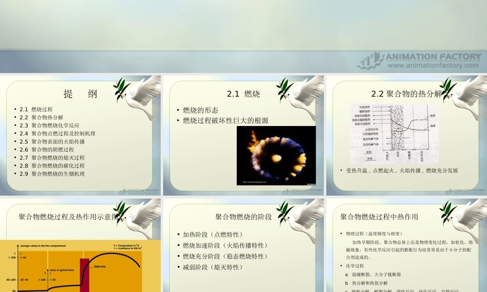 2燃烧与阻燃原理