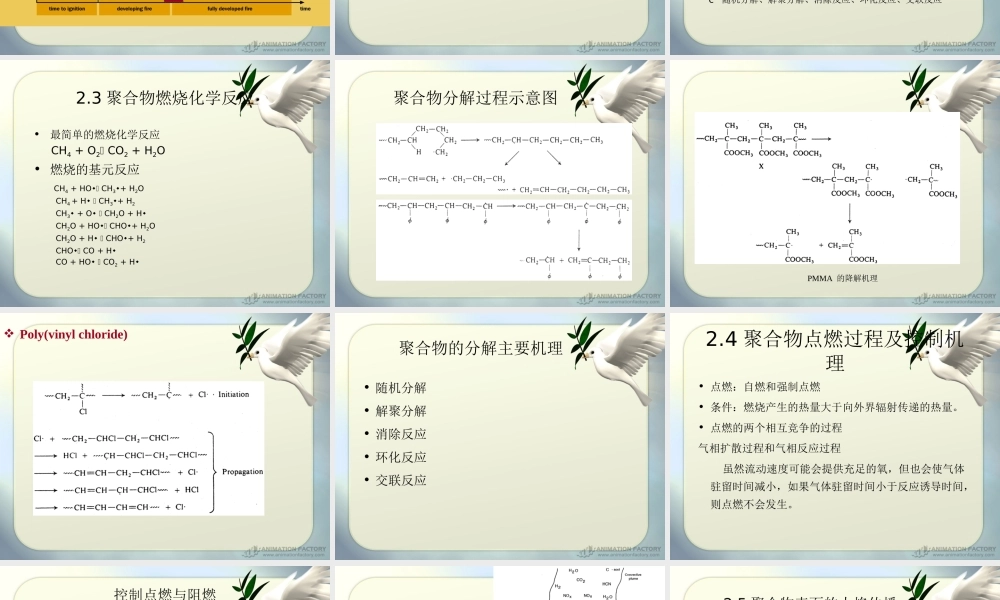 2燃烧与阻燃原理