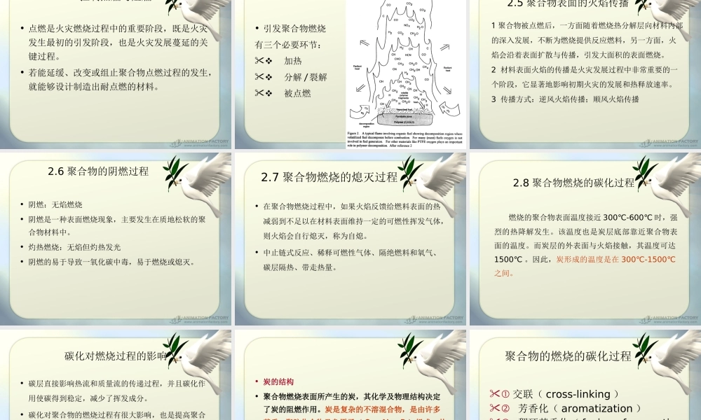 2燃烧与阻燃原理