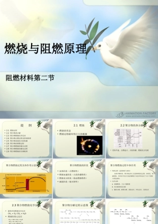 2燃烧与阻燃原理