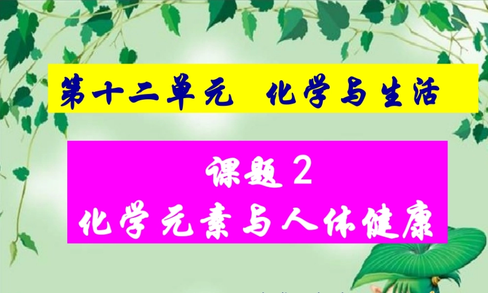 课题2-化学元素与人体健康-(2)