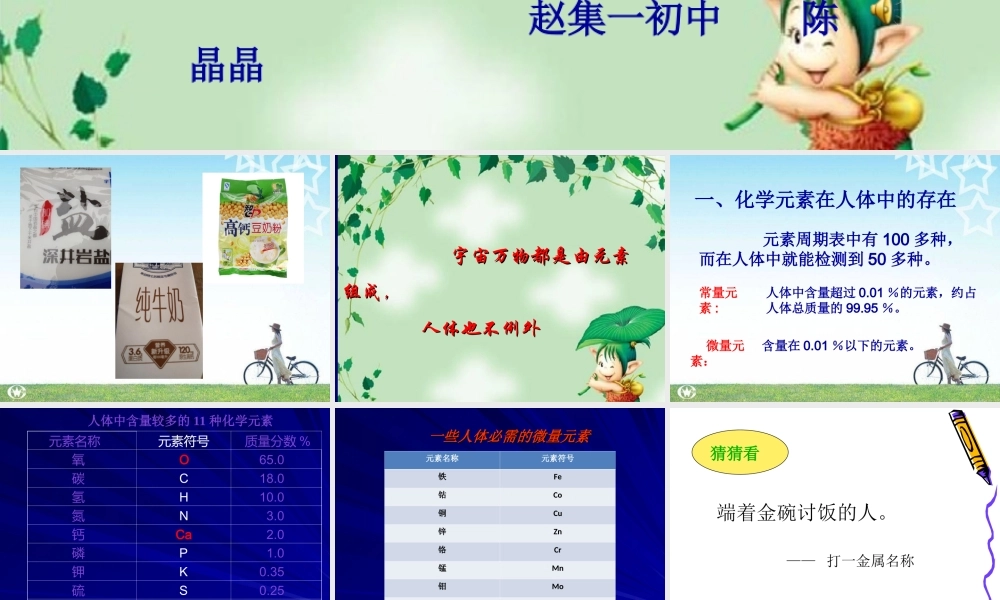 课题2-化学元素与人体健康-(2)