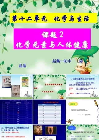 课题2-化学元素与人体健康-(2)