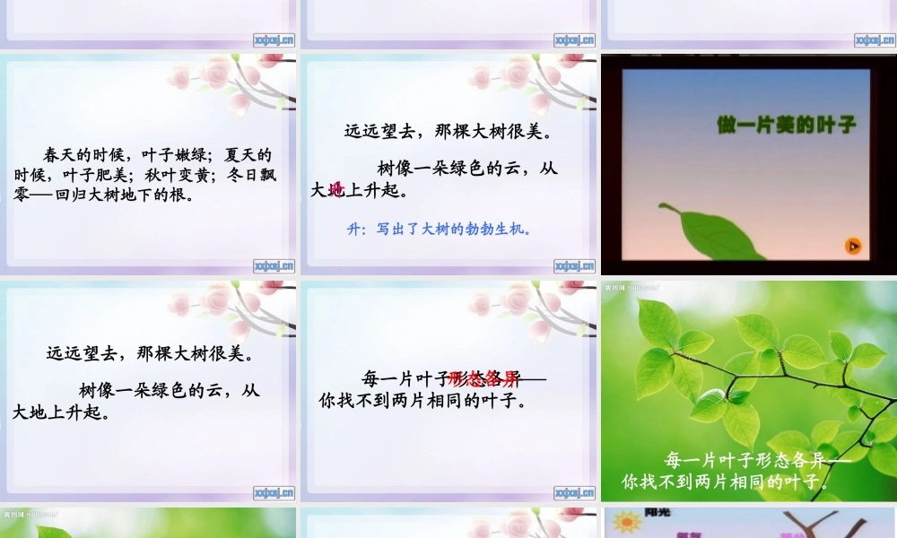 做一片美的叶子2