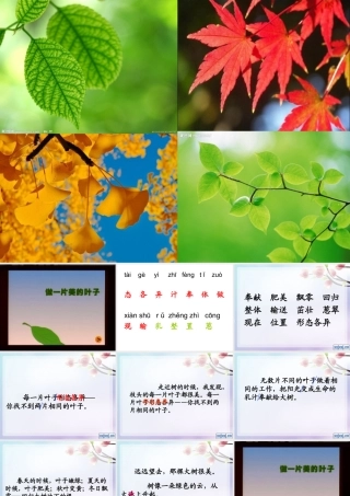 做一片美的叶子2