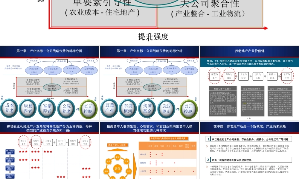 养老地产--第一章：产业坐标—公司战略位势的对标分析