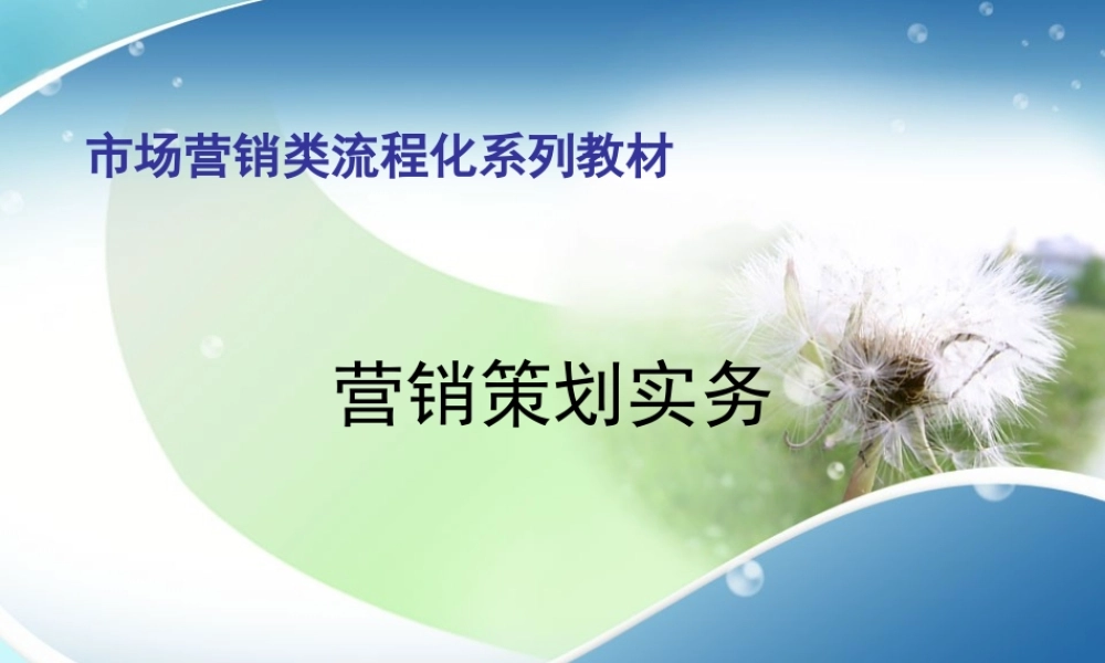 5产品和服务营销策划