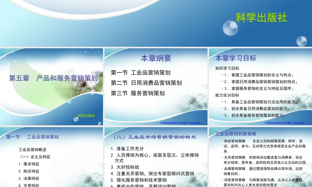 5产品和服务营销策划