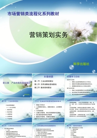 5产品和服务营销策划