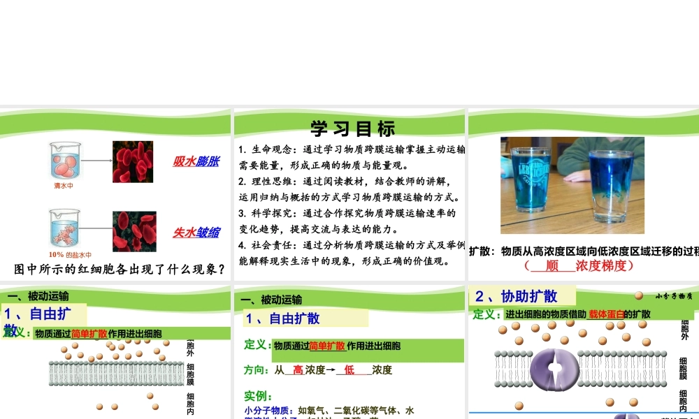 三物质进出细胞的方式
