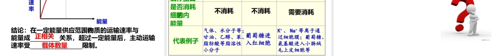 三物质进出细胞的方式