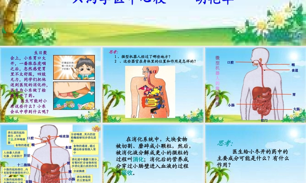 5消化与吸收