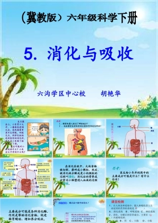 5消化与吸收