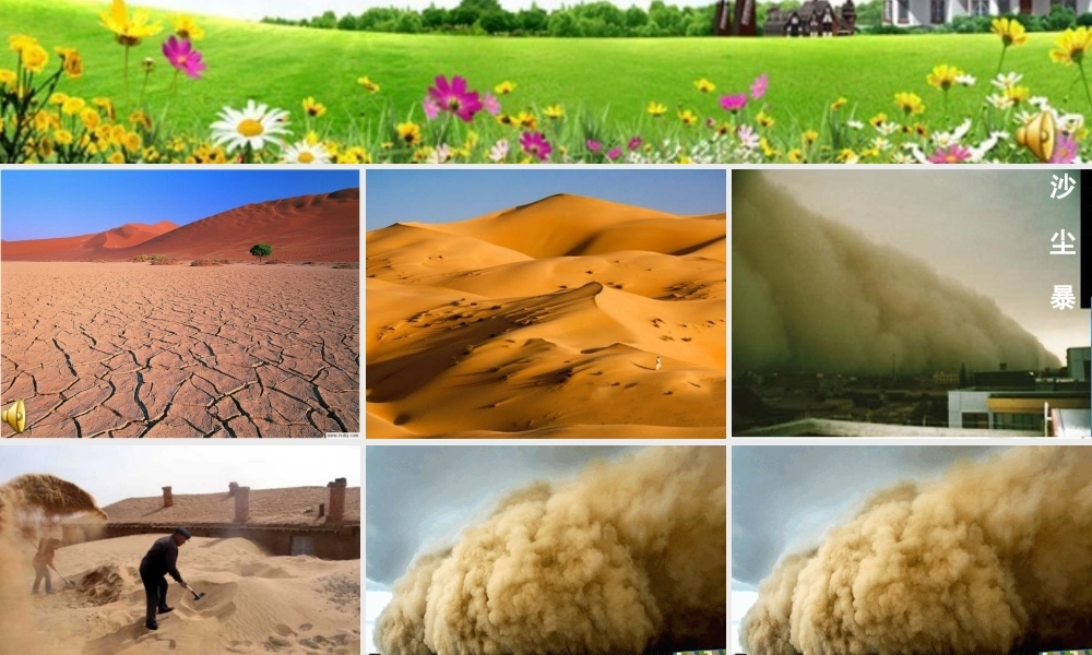 六年级语文上册第四组第一课时课件