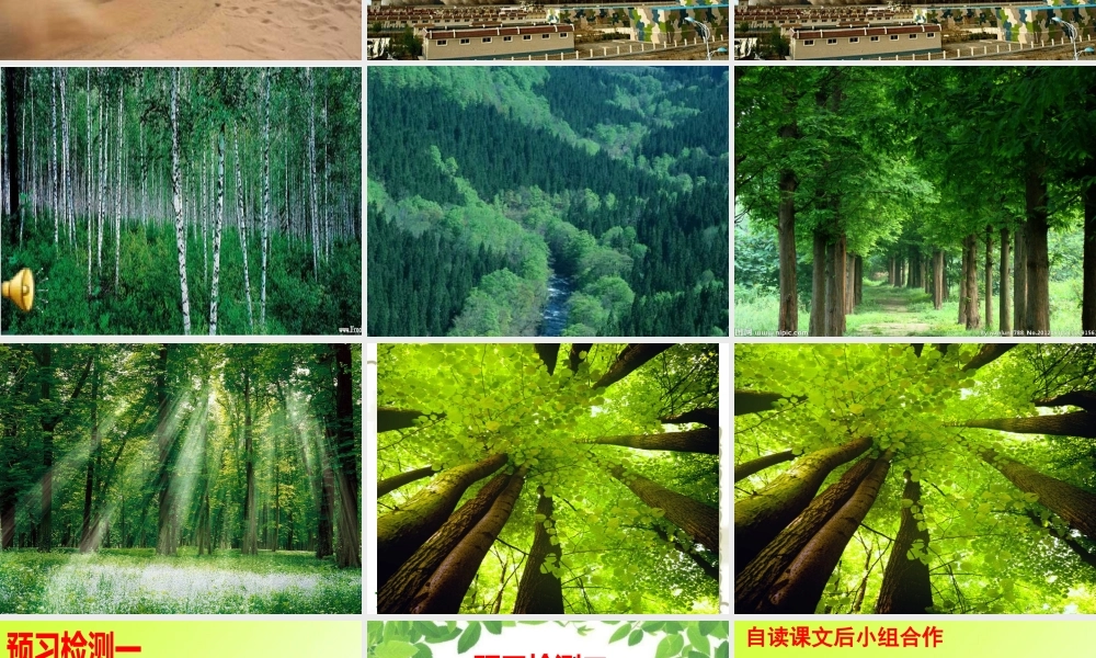 六年级语文上册第四组第一课时课件