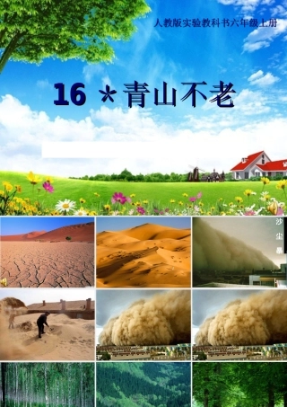 六年级语文上册第四组第一课时课件