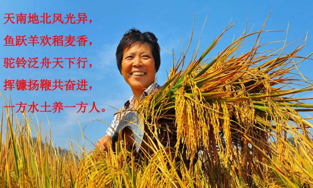 一方水土养一方人