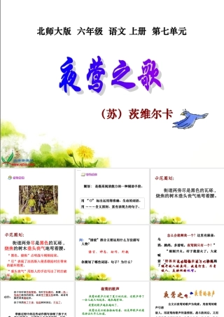 北师大版六年级语文上册《夜莺之歌》PPT课件