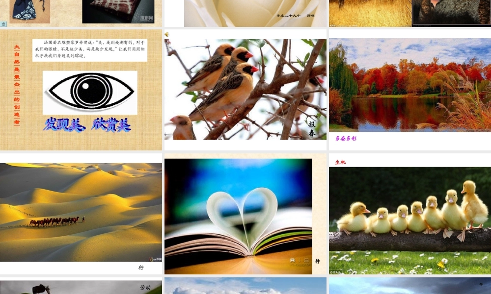 人教小学美术六年级下册《寻找美的踪迹》课件