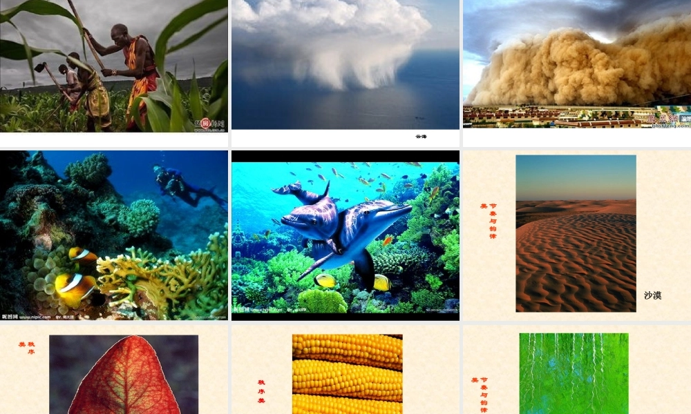 人教小学美术六年级下册《寻找美的踪迹》课件