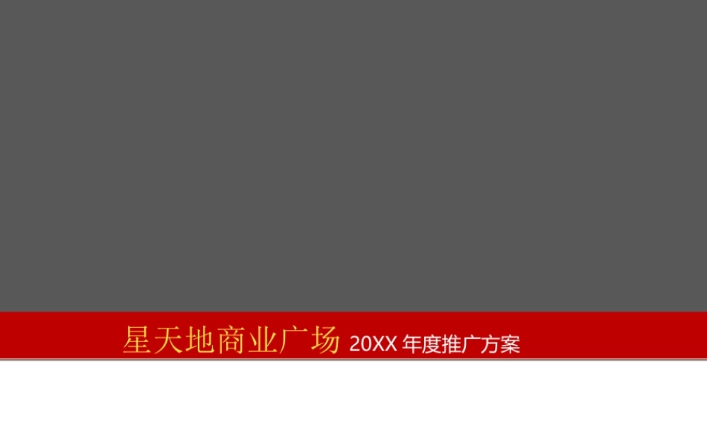 星天地商业广场年度推广方案