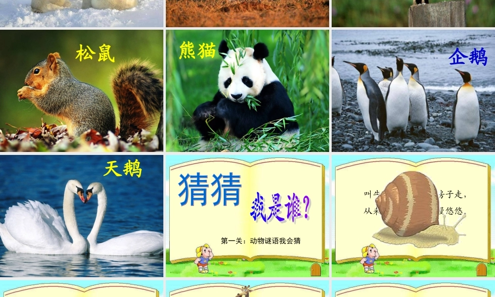 二年级我与小动物课件