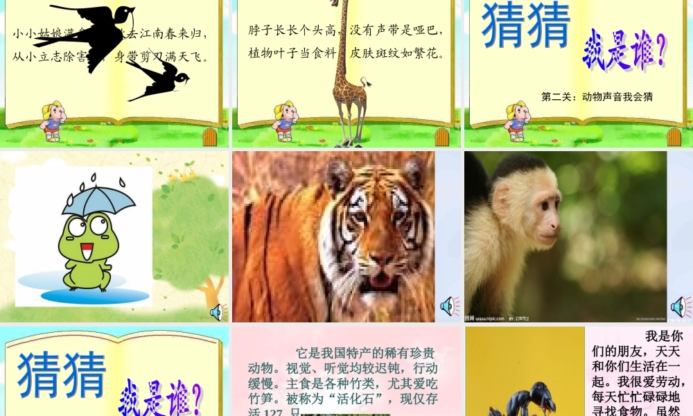 二年级我与小动物课件