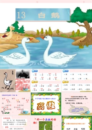 13《白鹅》1