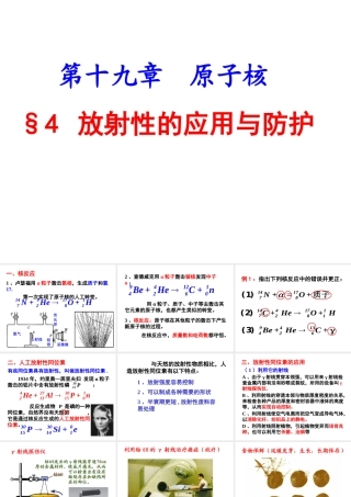 4-放射性的应用与防护
