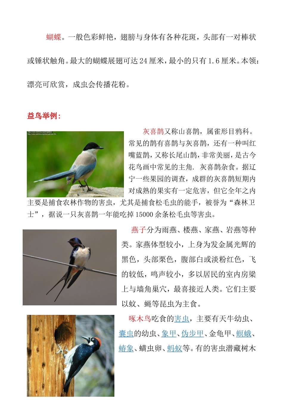 益虫及益鸟的资料及例子_第3页