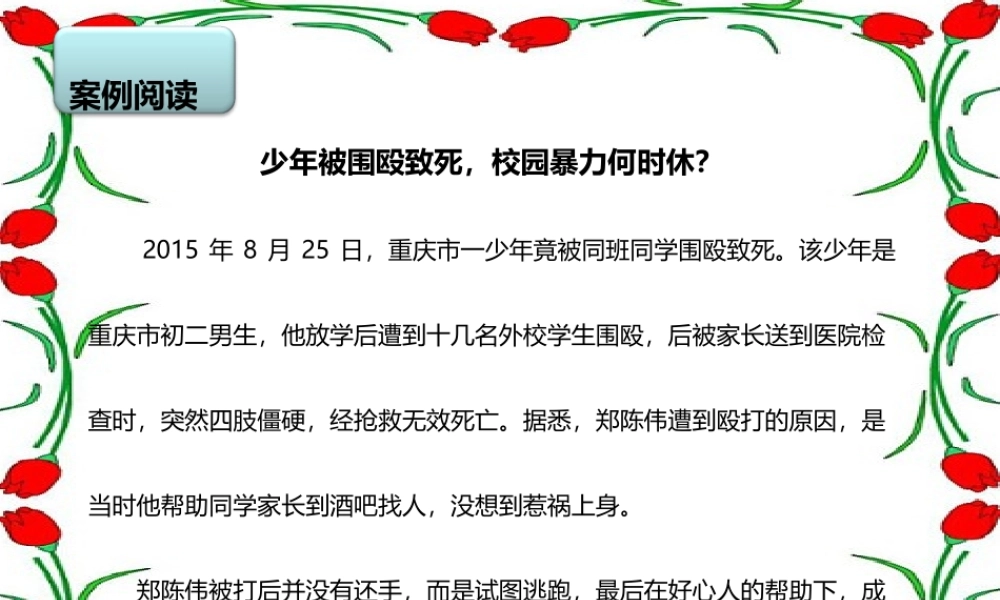 主题班会PPT(校园暴力-青春的伤痛)