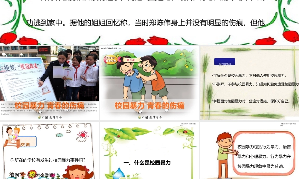 主题班会PPT(校园暴力-青春的伤痛)