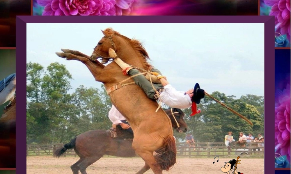 [PPT背景素材]奇图拾趣-免费-一套有趣的图照-配音乐：畅想曲-很好的背景素材-与喜爱的朋友分享。