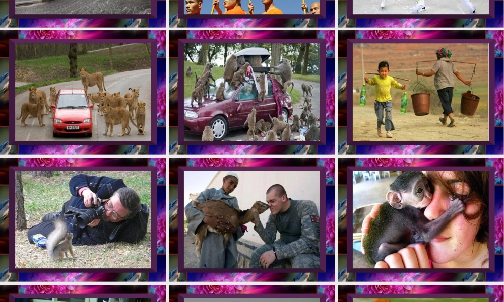 [PPT背景素材]奇图拾趣-免费-一套有趣的图照-配音乐：畅想曲-很好的背景素材-与喜爱的朋友分享。