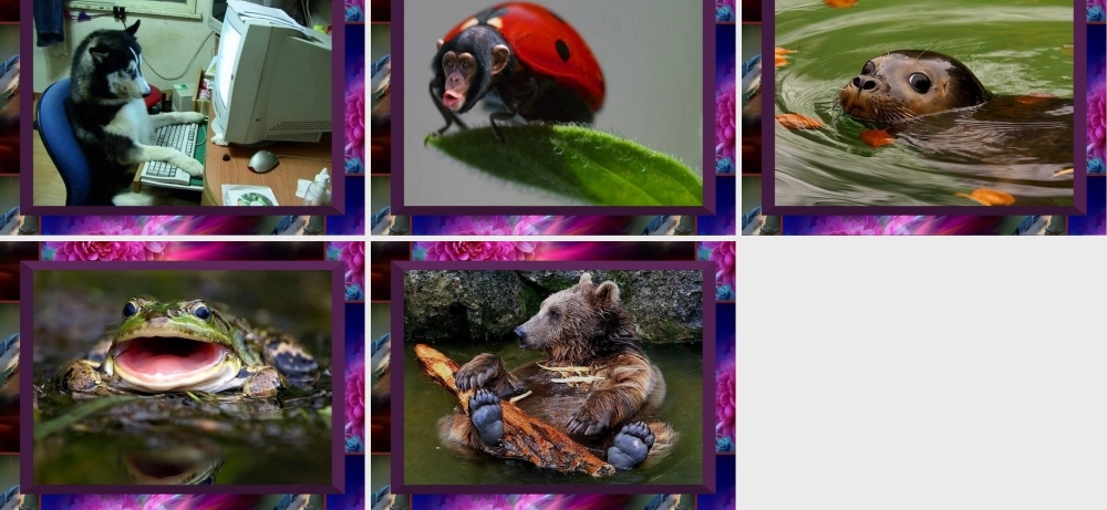 [PPT背景素材]奇图拾趣-免费-一套有趣的图照-配音乐：畅想曲-很好的背景素材-与喜爱的朋友分享。