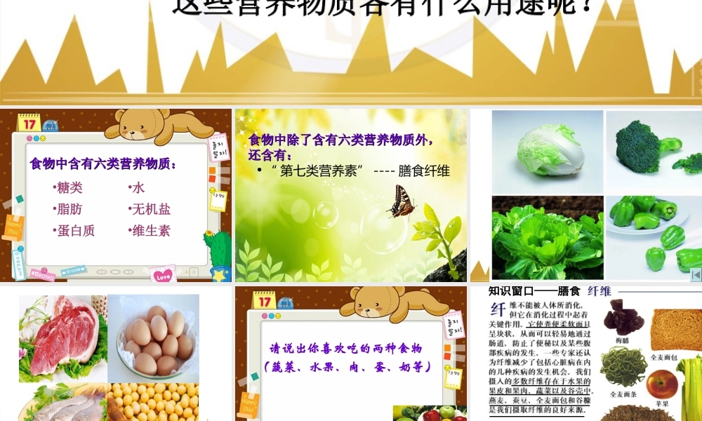 科学·技术·社会-“第七类营养素”——膳食纤维-(3)