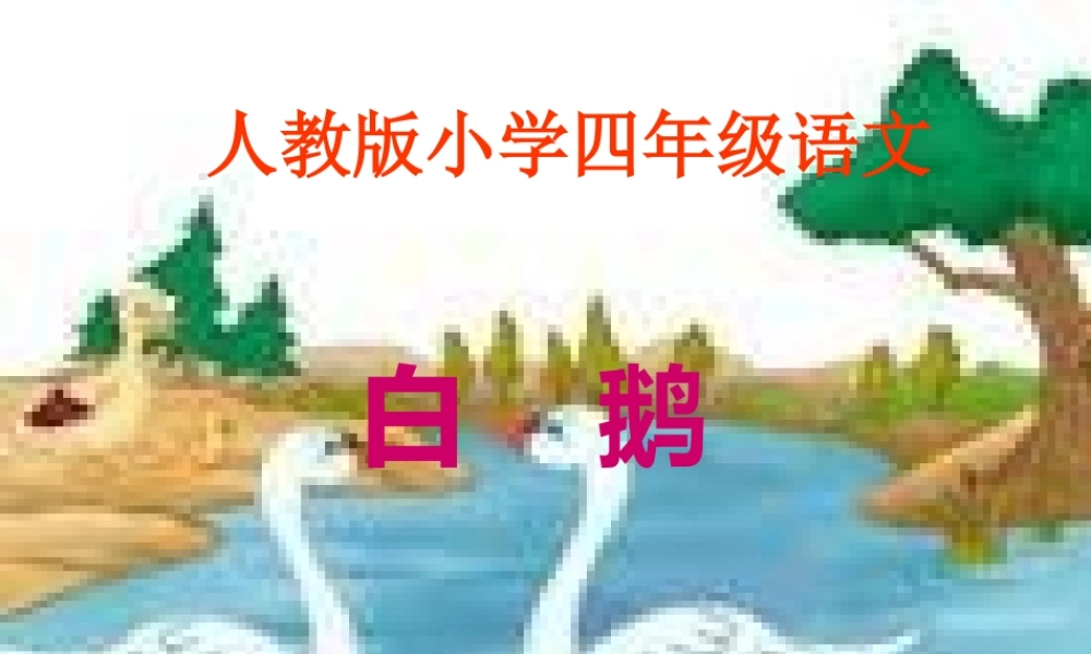 13白鹅课件