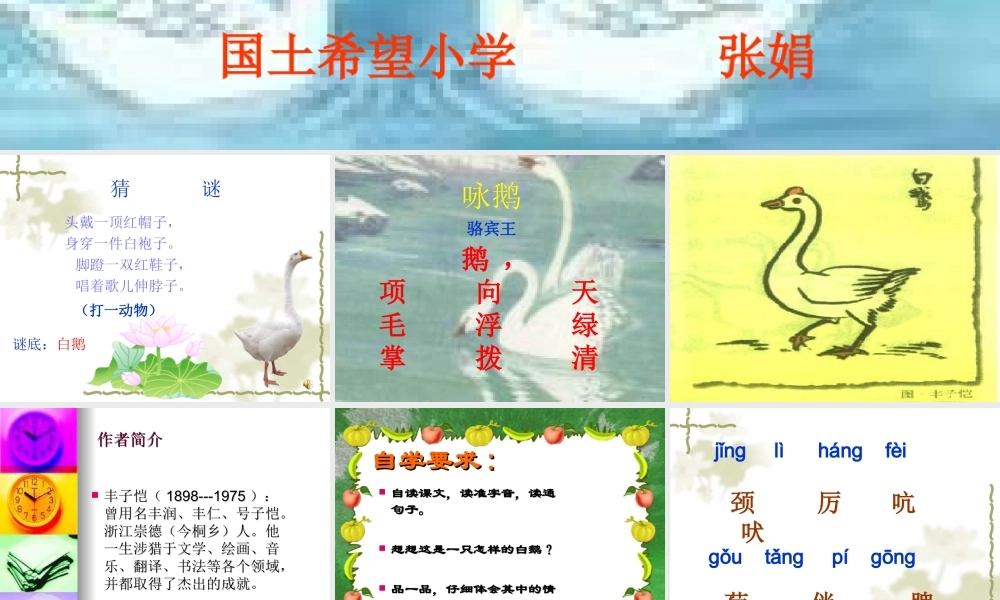 13白鹅课件