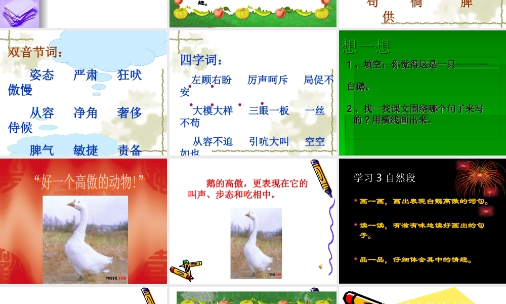 13白鹅课件