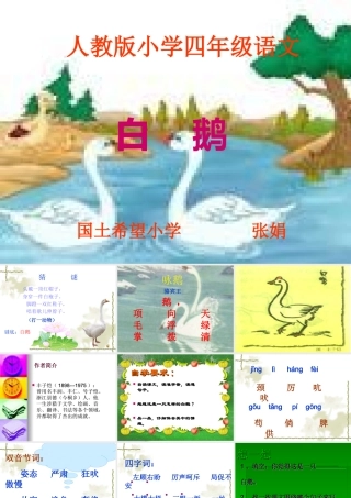 13白鹅课件